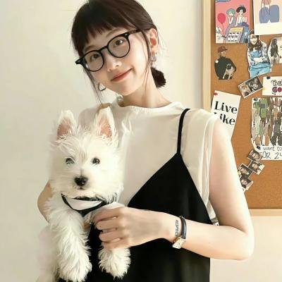 候鸟之爱
